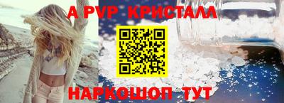 СК Ачхой-Мартан