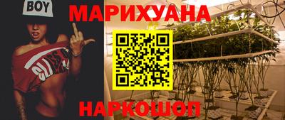 гидропоника Аша