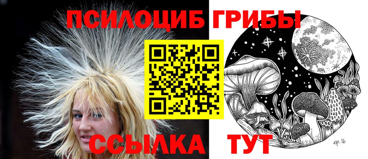 Псилоцибиновые грибы Cubensis Великий Новгород